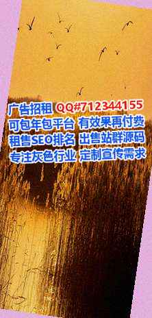 ZhongGuo代怀商业运营公司